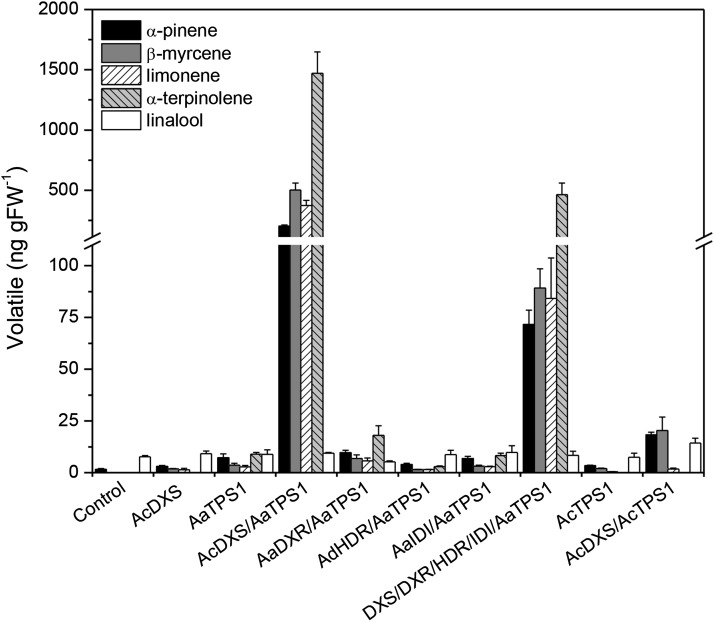 Figure 6.