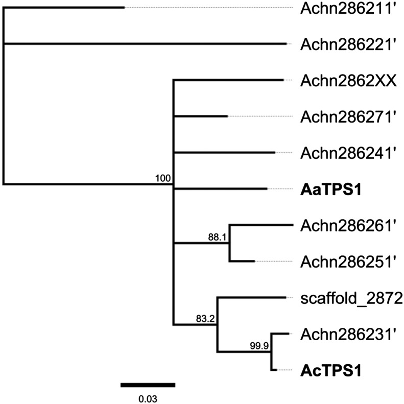 Figure 3.