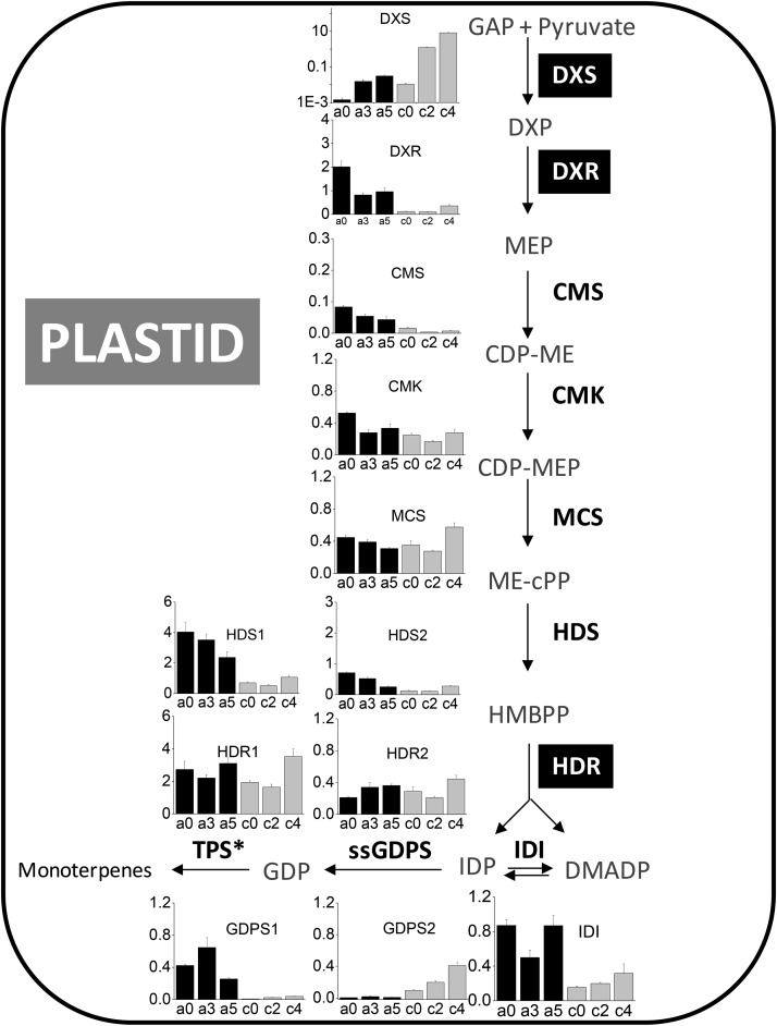 Figure 5.