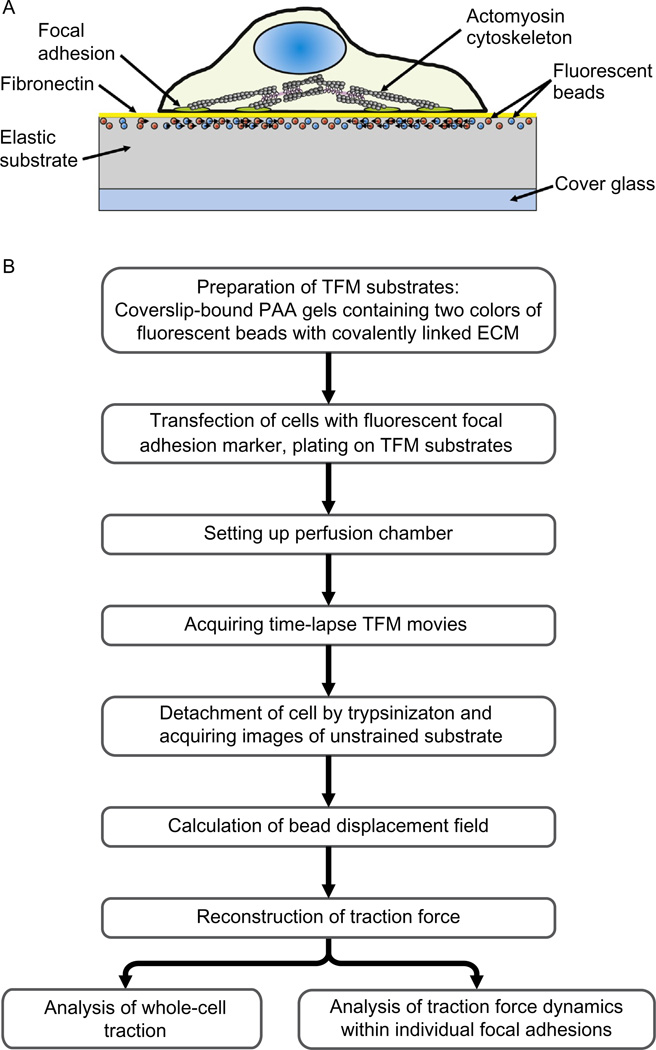 FIGURE 20.1