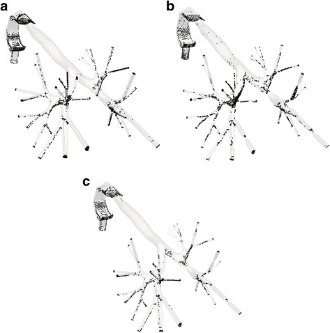 Fig. 11