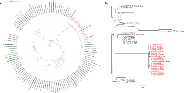 FIG 2