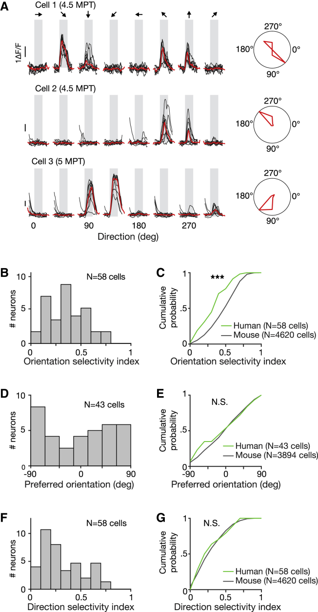 Figure 7