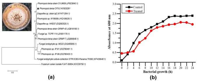 Fig. 1