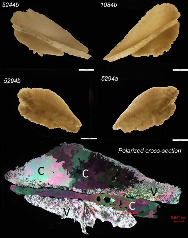 Figure 4