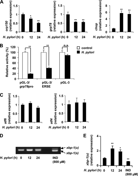 FIGURE 2.