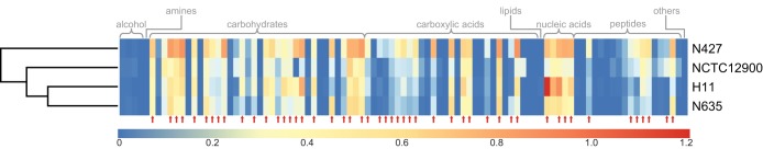 FIG 1