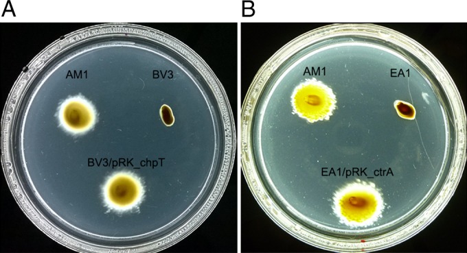 FIG 2