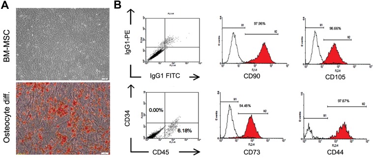 Fig.3