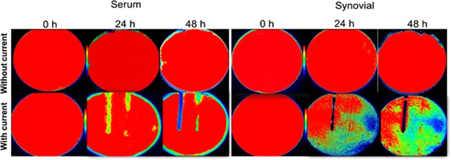 Figure 7