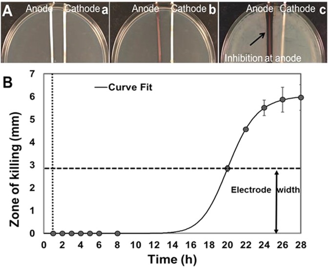 Figure 9