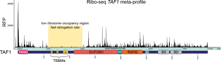 Extended Data Figure 7.