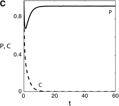Figure 6.—