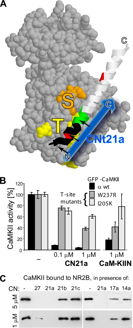 Figure 3.