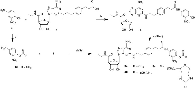 Scheme 1