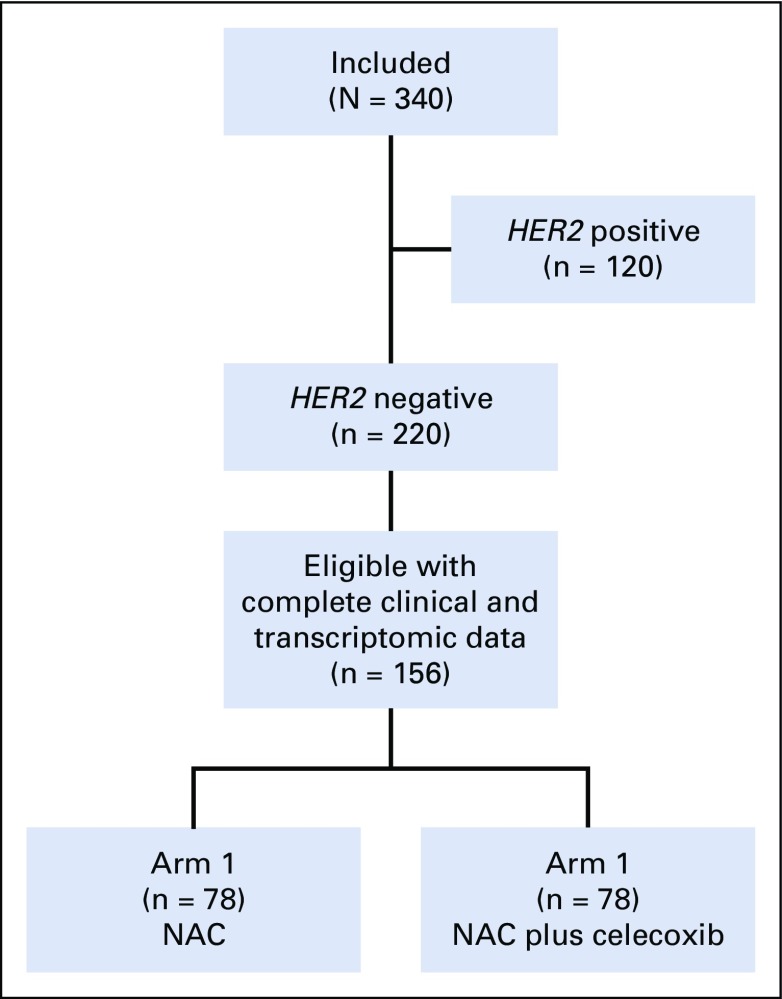 FIG A1.