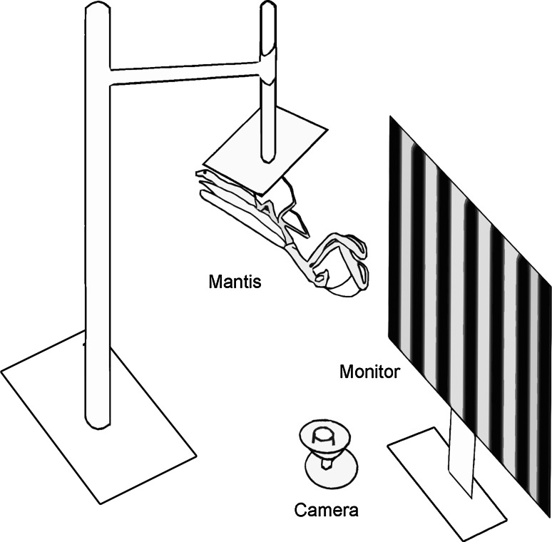 Fig. 1