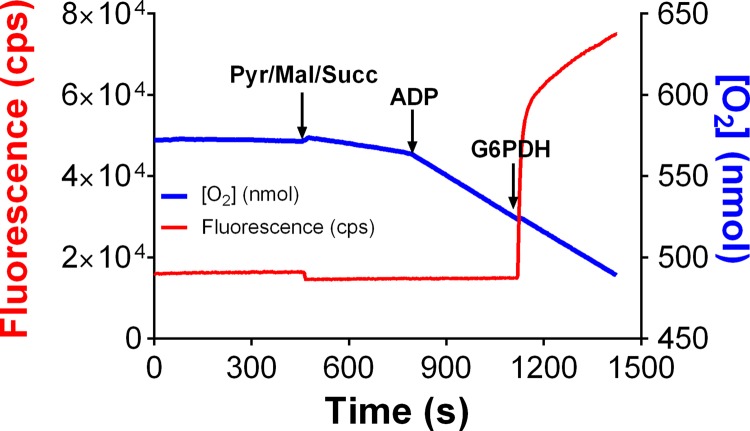 Fig. 3.