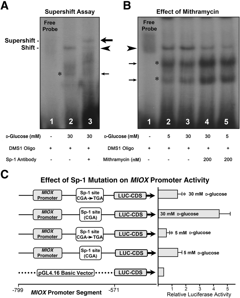 Figure 3