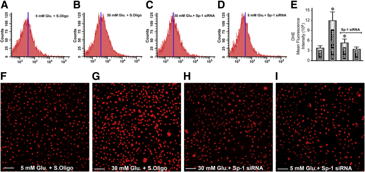 Figure 6