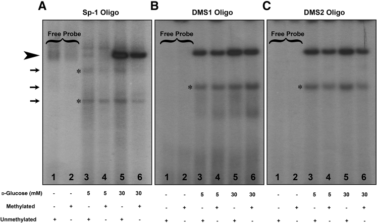 Figure 2