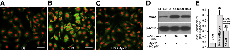 Figure 7