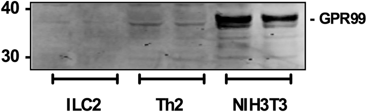 Fig E2