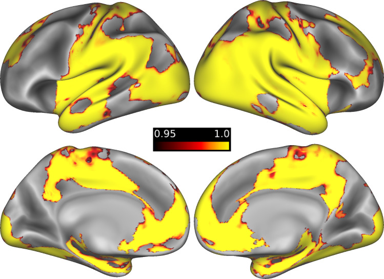 Figure 5—figure supplement 1.