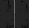 Figure 2.