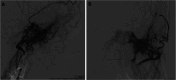 Figure 3.