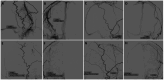 Figure 1.