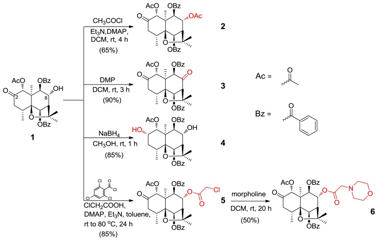 Scheme 1