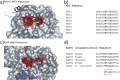 Fig. 2