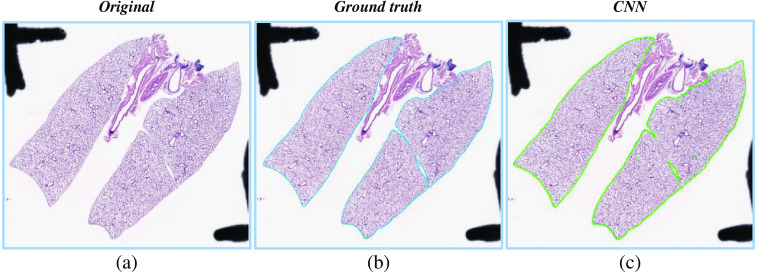 Fig. 10