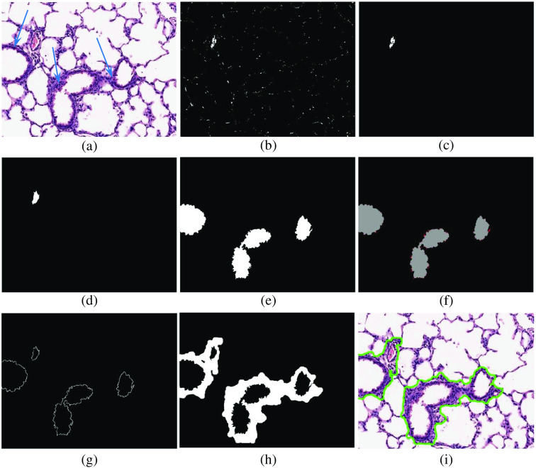 Fig. 7