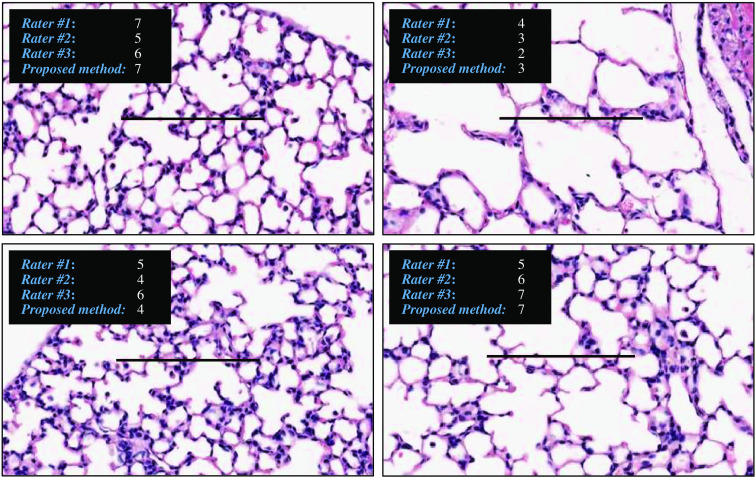 Fig. 14