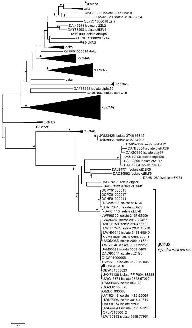 Figure 11