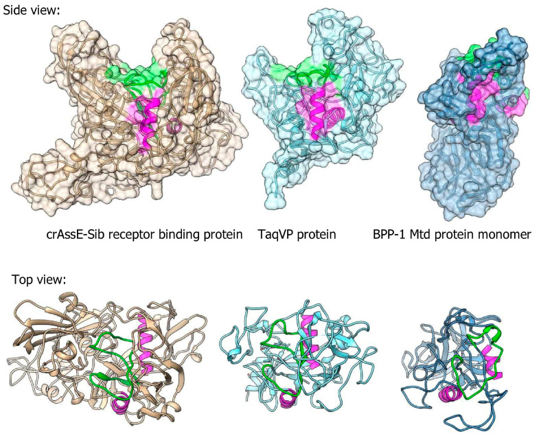 Figure 10