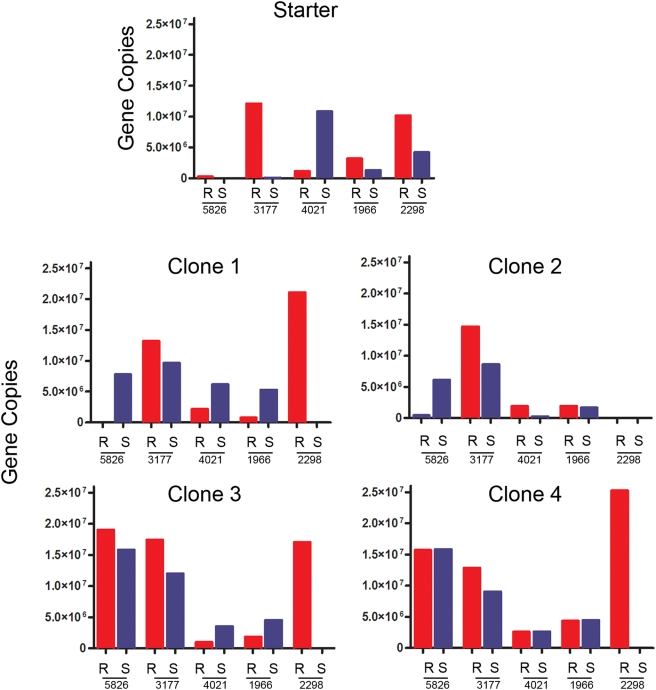 Figure 5