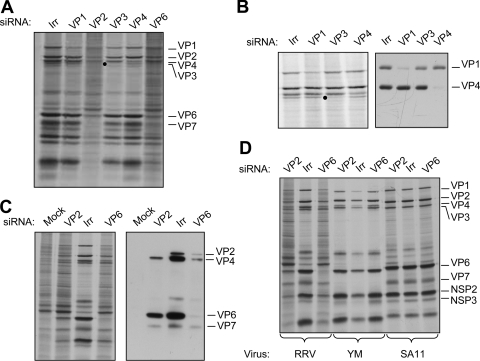 FIG. 2.