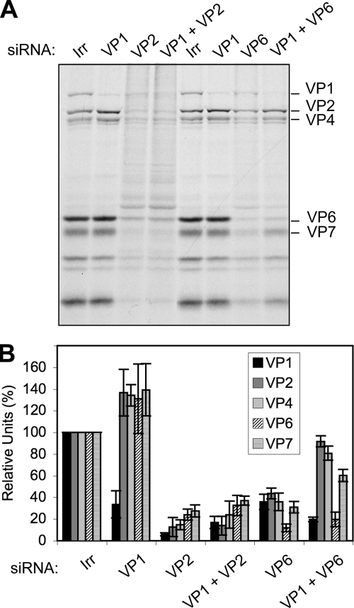 FIG. 7.