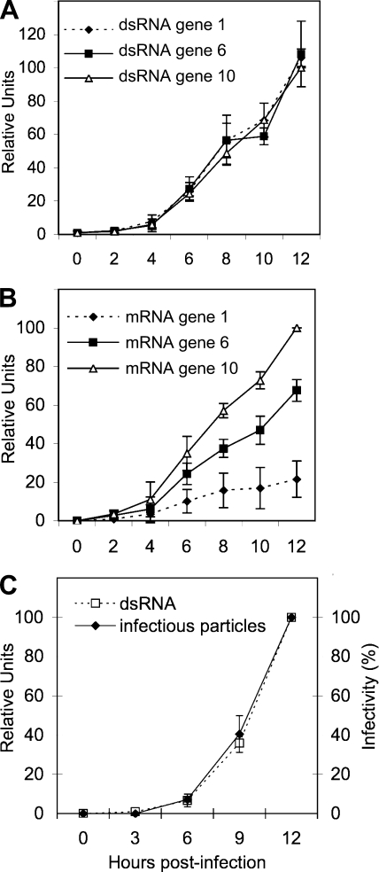 FIG. 1.