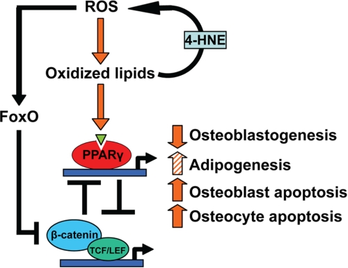 FIGURE 10.