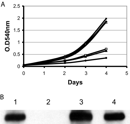 FIG. 6.