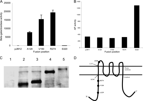 FIG. 7.