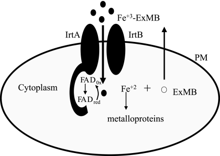 FIG. 9.