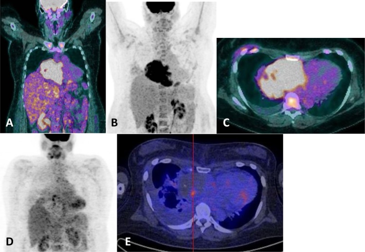 Fig. 3