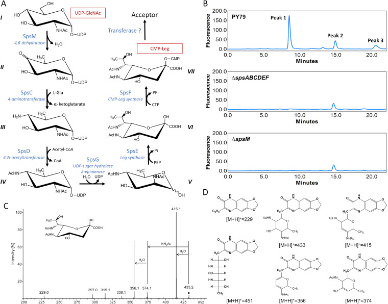 FIG 3