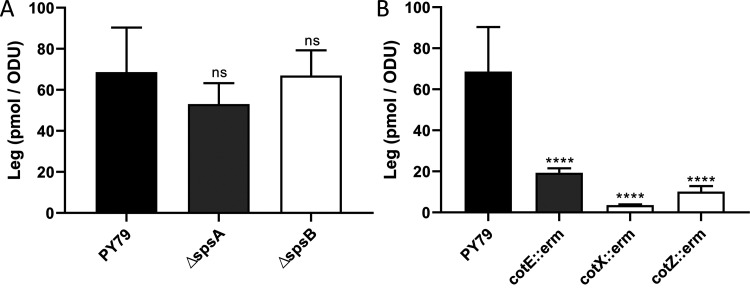 FIG 6