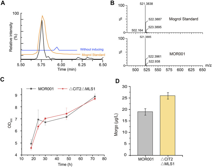 FIGURE 3